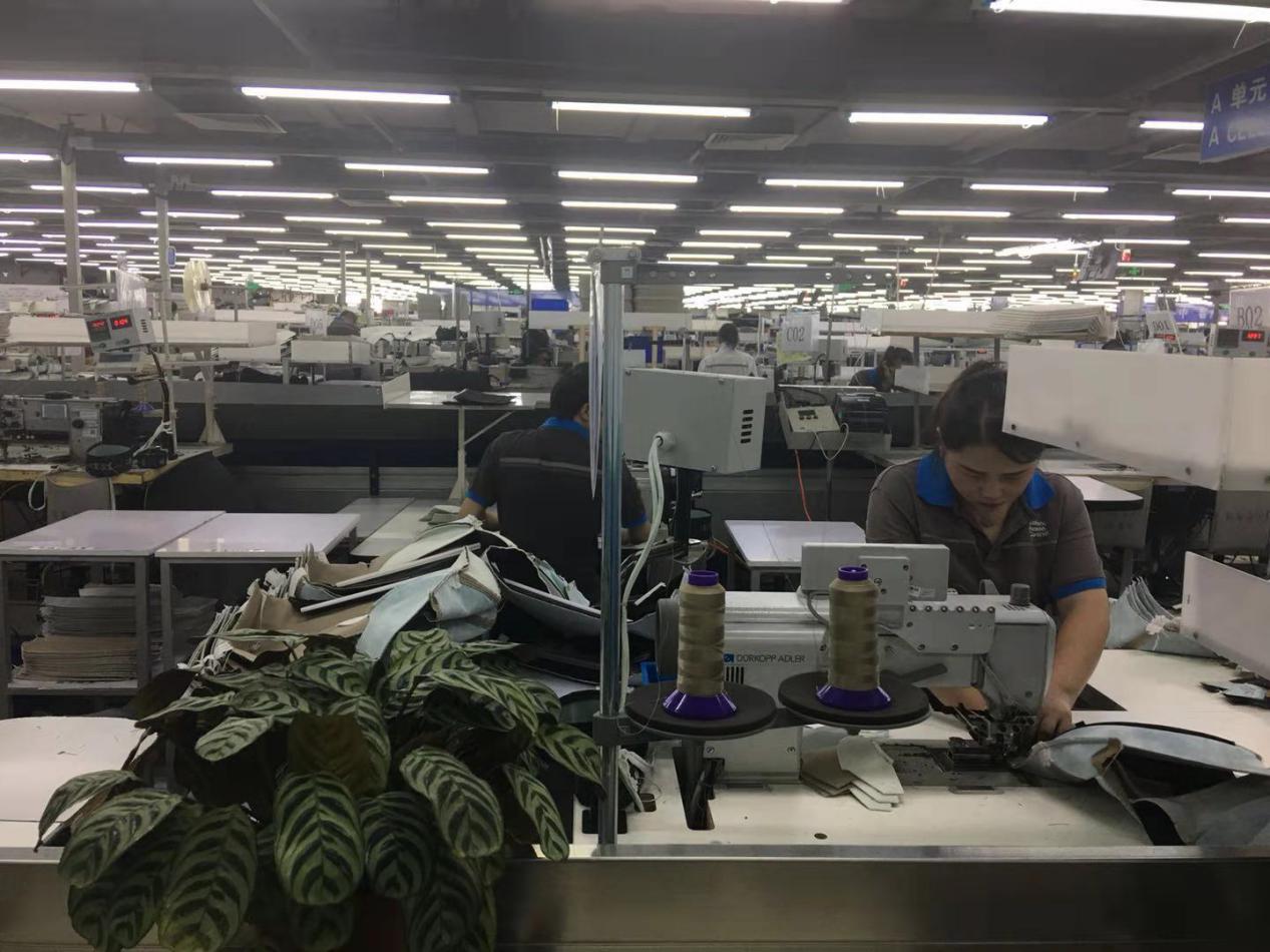 1553262150871417.jpg 1553262150871417.jpg